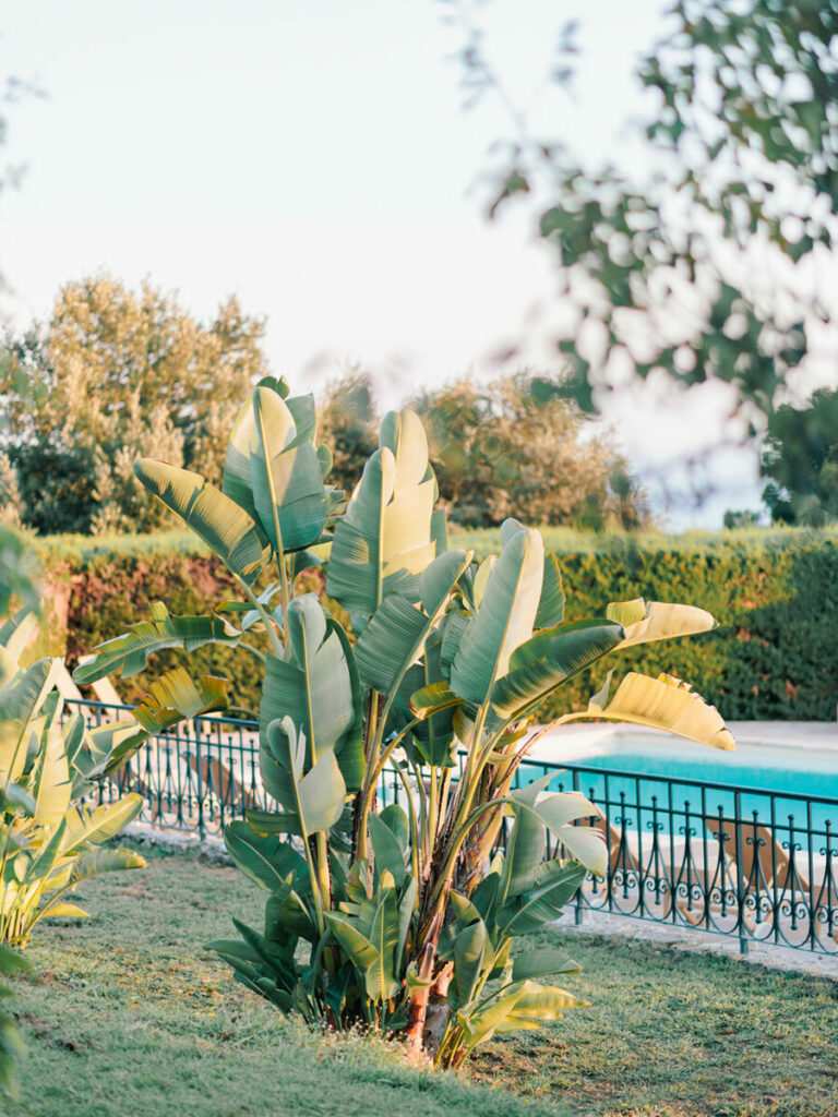 Liliane & Alexandre — Côte d'Azur — photo Julien Bonjour